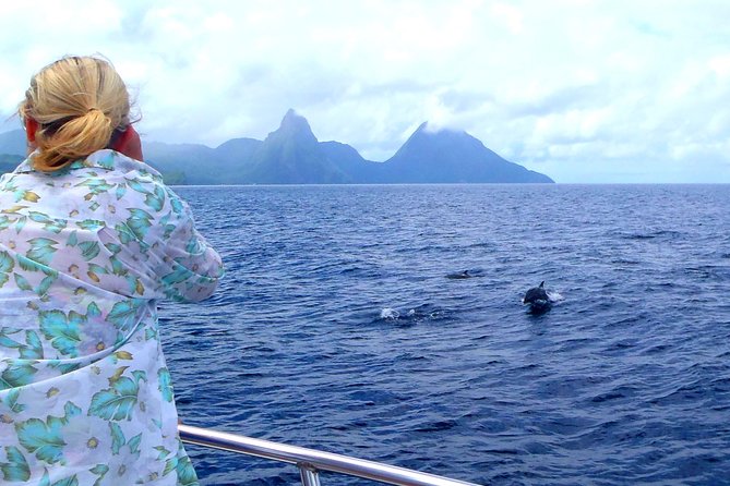 Whale and Dolphin Watching Cruise in St Lucia - Timing the cruise around your St. Lucia visit