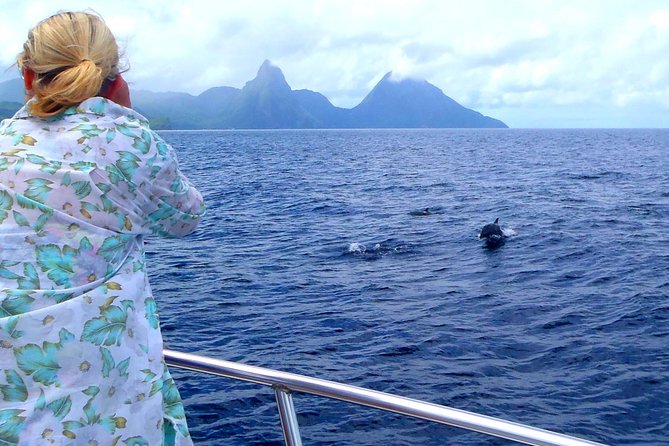 Whale Watching and Dolphin Spotting Cruise - Key points to know before you go