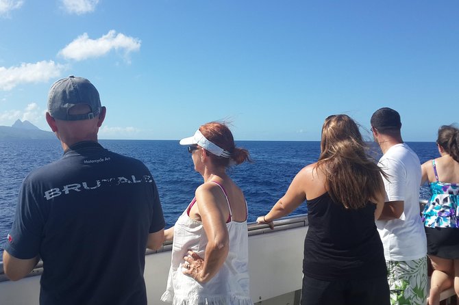 Whale Watching and Dolphin Spotting Cruise - The first hour: open water and patient scanning
