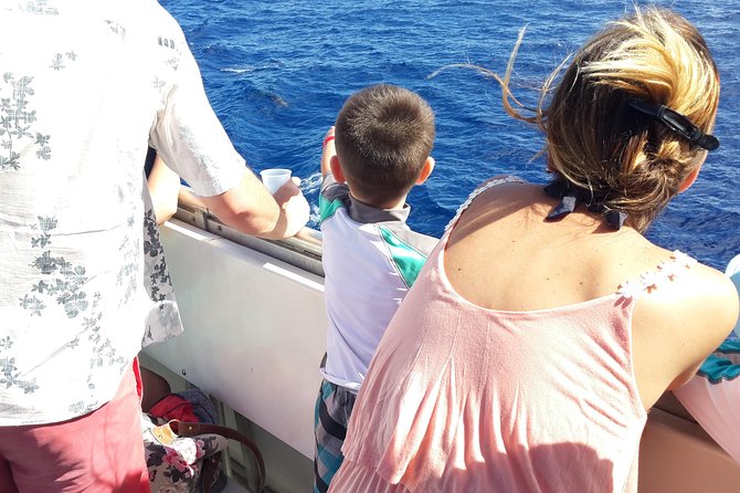 Whale Watching and Dolphin Spotting Cruise - Seeing St Lucia from the water