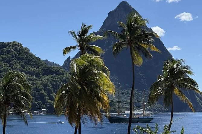 Wow Tours St. Lucia (COVID-19 Certified) - Four things to know before you book